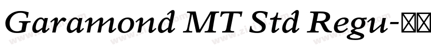 Garamond MT Std Regu字体转换